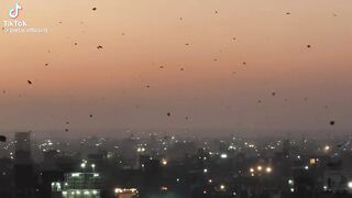 Lahore basant