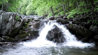 See more information