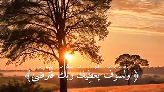 Tilawat e Quran Majeed