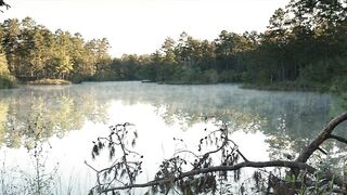 The Starving Games (2013)-Part 1