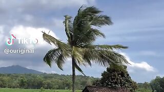 ee1c37879f268736fc1b72cb278397e3.mp4