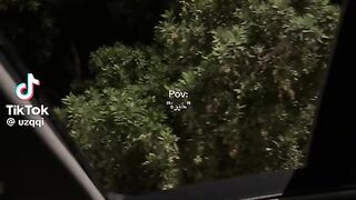 كلام جميل