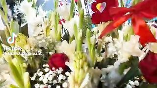 Beautiful flowers