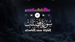 Tilawat e Quran Majeed