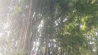 Cacian yang masih terngiang
