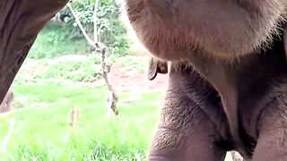 Time For Drink Mother's Milk