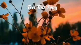 Beautiful Song