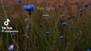 Beautiful Song