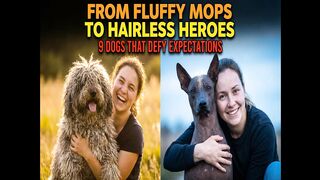From Fluffy Mops to Hairless Heroes 9 Dogs That Defy Expectations