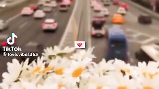 Beautiful Song