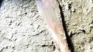 Manual extraction of avocado oil
