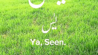 Surah yasin Arabic text