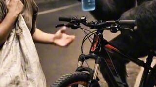 that disappointed Gorilla