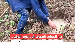 A spring bursts forth from the earth after years of drought in Morocco