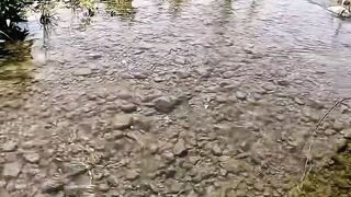 When the Line Is Silent