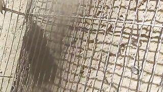 Cage wall
