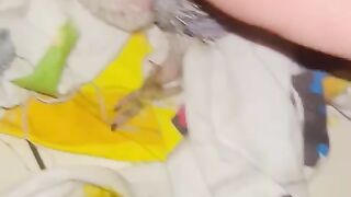 Yellow beak