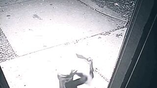 In the middle of the night, something was lurking right outside my door!