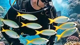 Indah pemandangan terumbu karang dan ikan ikan nya