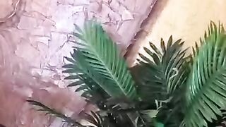 ممسحة البخار كاملة الإضافات