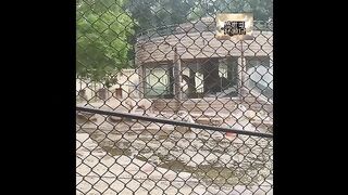 Hey, buddy, where are you looking? If you keep staring at that spot, I’ll get shy.