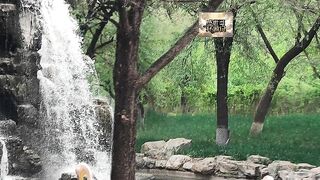 See animals at the wildlife park.