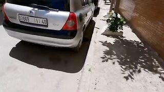 The tiger cat that lives on the street is very friendly.