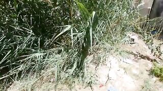 Homeless kittens are very hungry and shy.