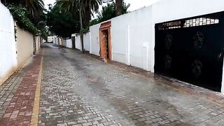 Two stray cats make a cute and adorable couple.