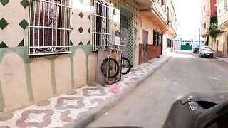 The gray cat is amazed at a human helping abandoned Cats.