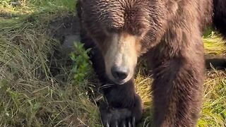 This is how you catch