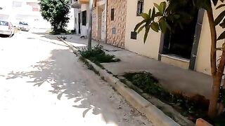 Stray cats won't fight because they know they'll get a dish for each one.