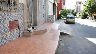 When a food server appears, even shy cats approach him to get their meal.