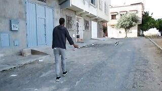 Oreo cat gets happy every time she sees me.