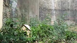 The kittens are amazed at the camera that is filming them.
