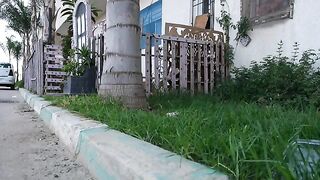 The kittens know the sound of the person feeding them, so they come running.