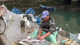 Fish man marocain #2026