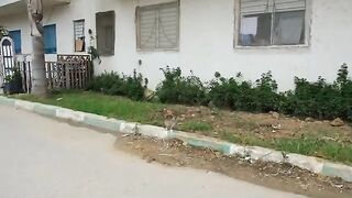 Stray kittens play for the first time with a human.