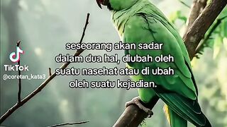 Untuk dipantas kan