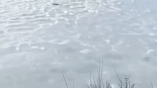 This Happened in 3 Seconds ????