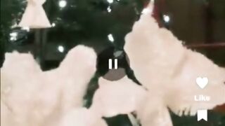 All i want for a christmas is a husband part 1