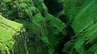 parachute jump #viral #parachutejump