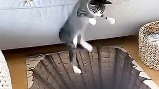 Creyó que caía al vacío! ???? Gato vs. Ilusión 3D