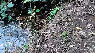 Patience Beyond Strength