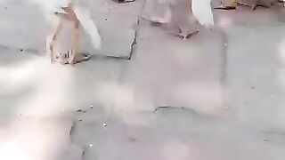 Parrenting of chickens