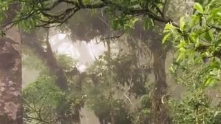 Beautiful nature