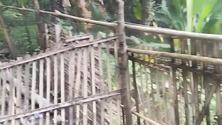 everyday life alone on the edge of the forest