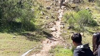 Melaju cepat