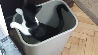 Wednesday morning shenanigans