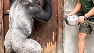 Jordey & Agus Joking